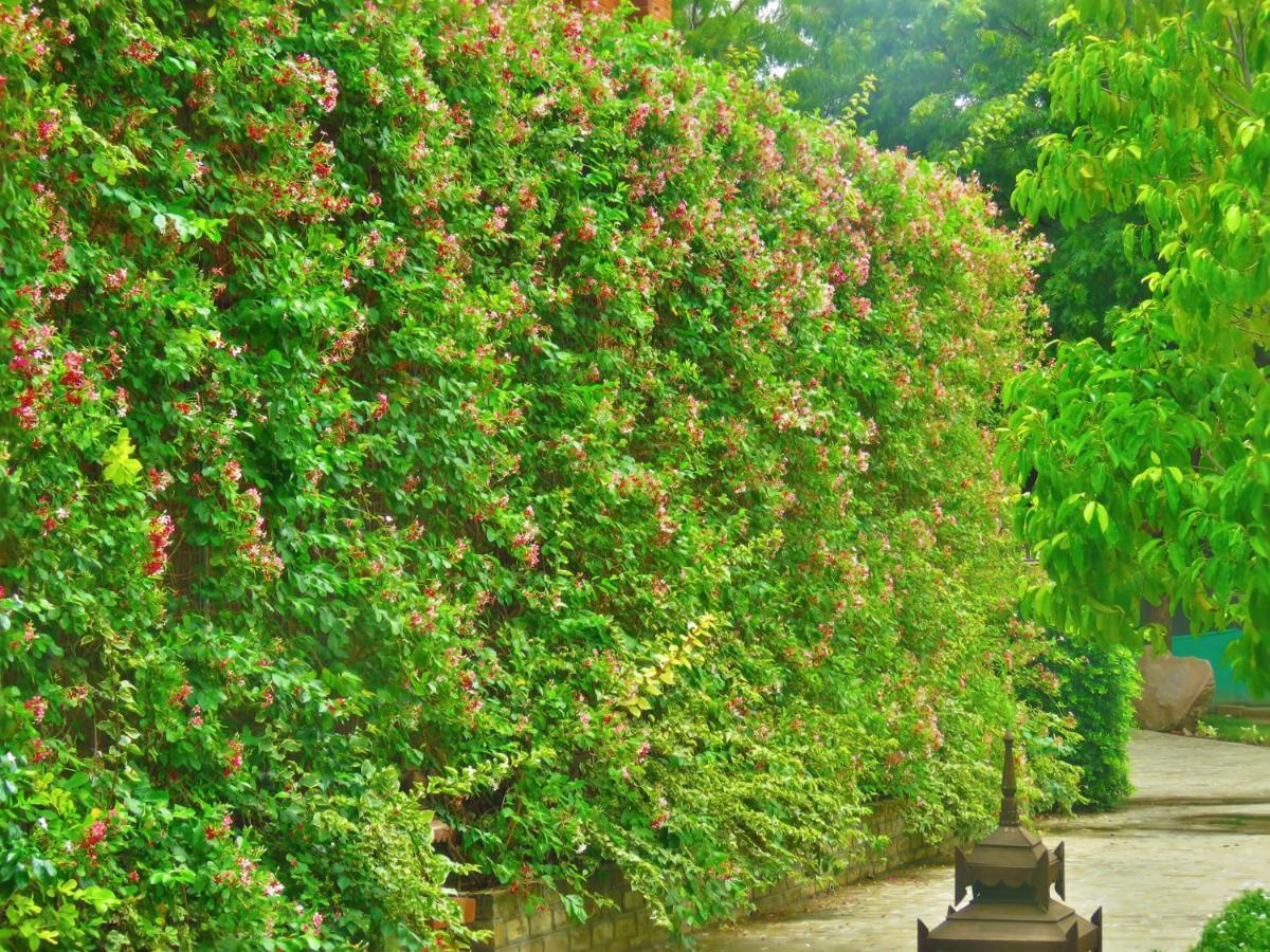 Heritage Bagan Hotel Luaran gambar